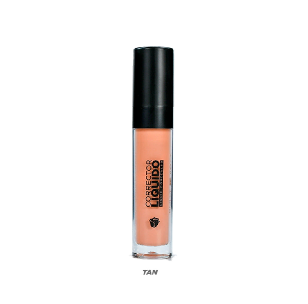 CORRECTOR LIQUIDO