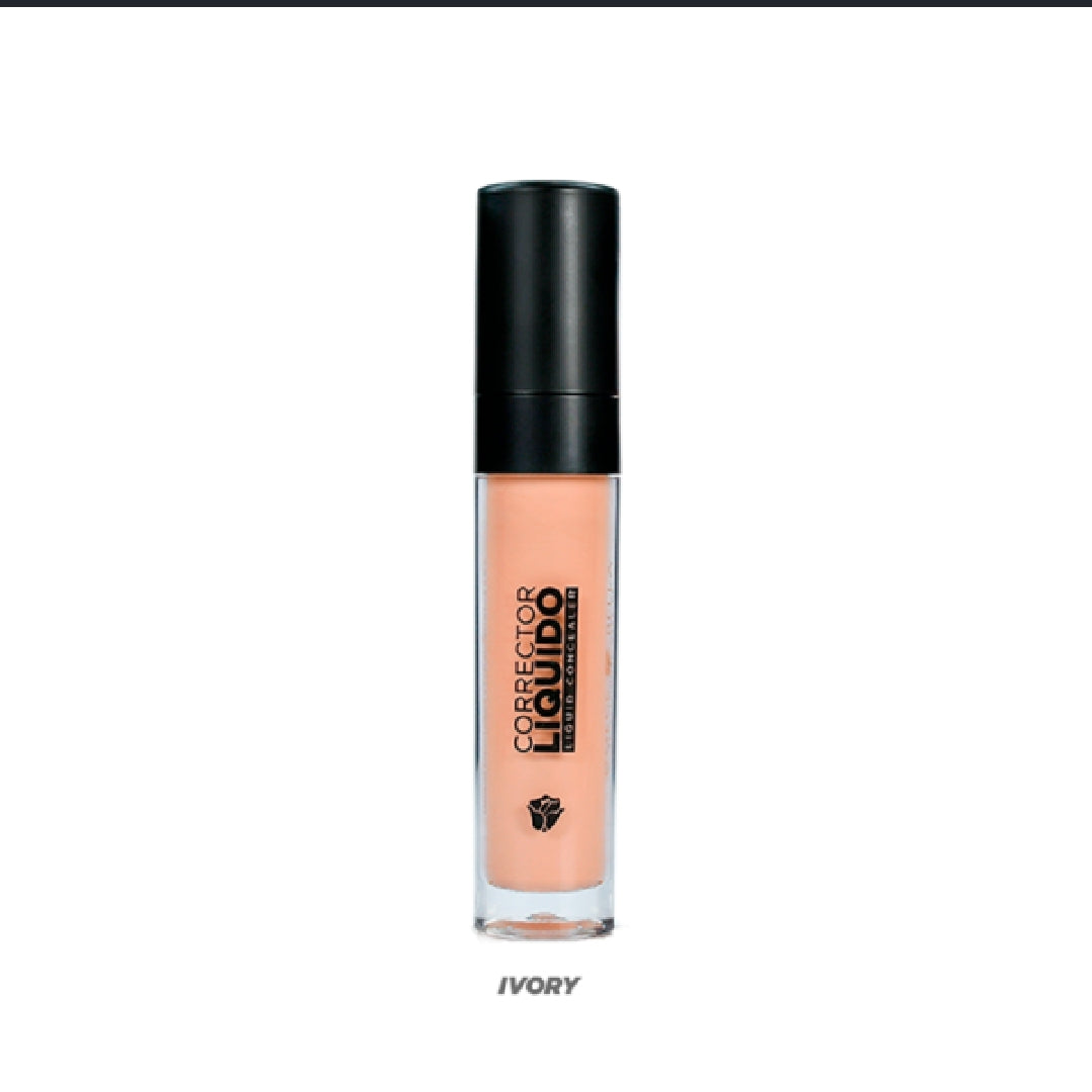 CORRECTOR LIQUIDO