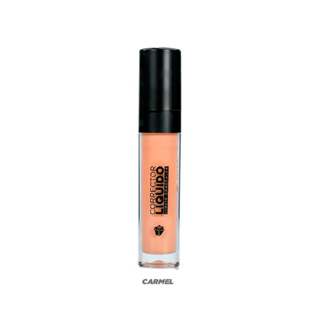 CORRECTOR LIQUIDO