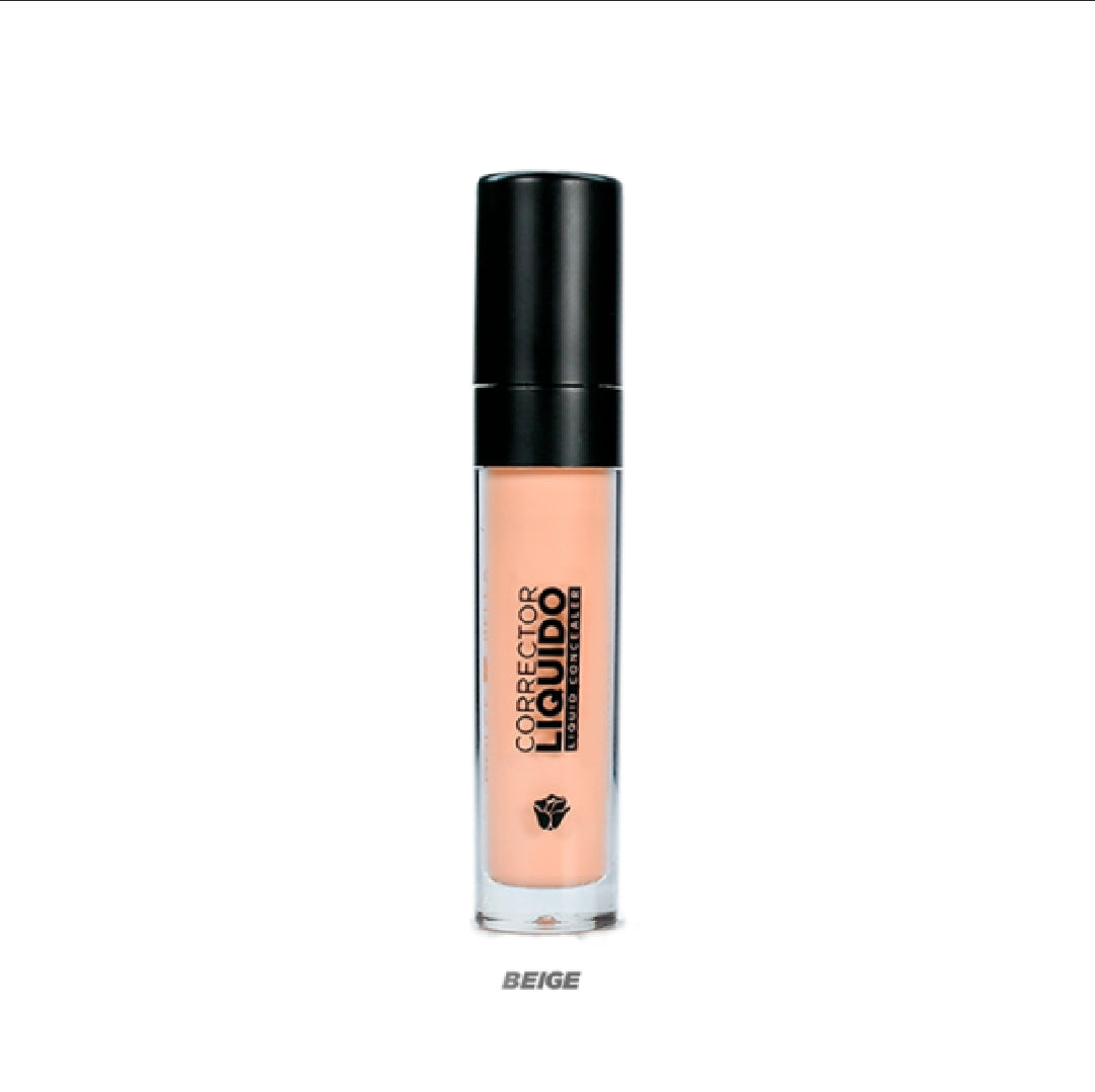 CORRECTOR LIQUIDO