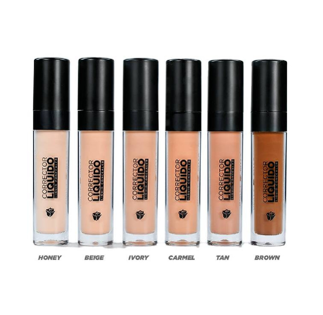 CORRECTOR LIQUIDO