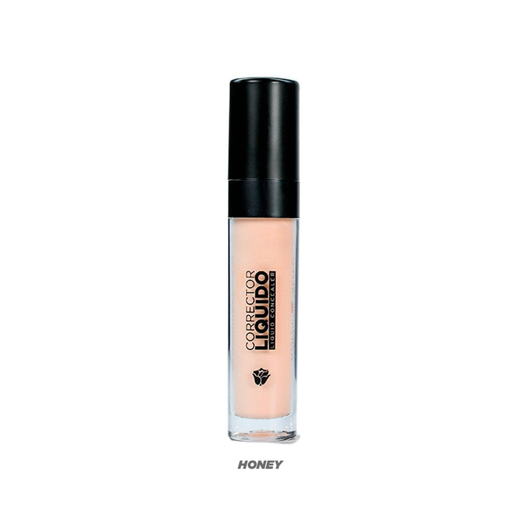 CORRECTOR LIQUIDO