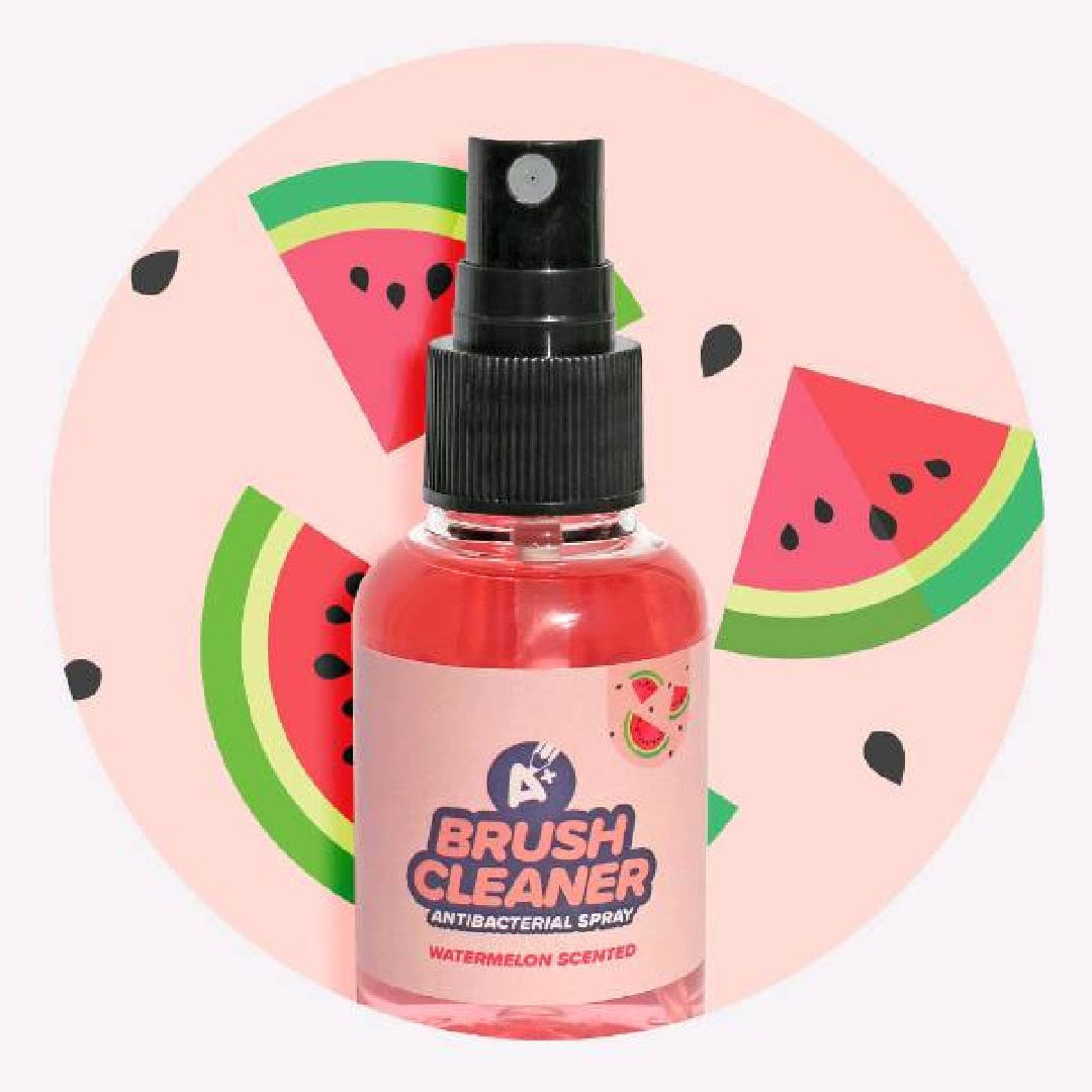 LIMPIADOR DE BROCHAS AL SECO