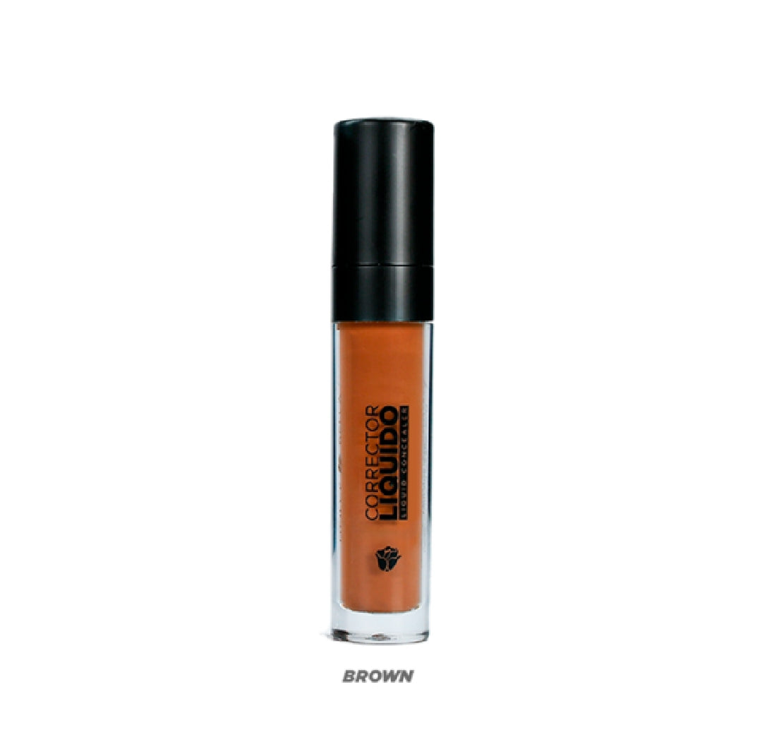 CORRECTOR LIQUIDO