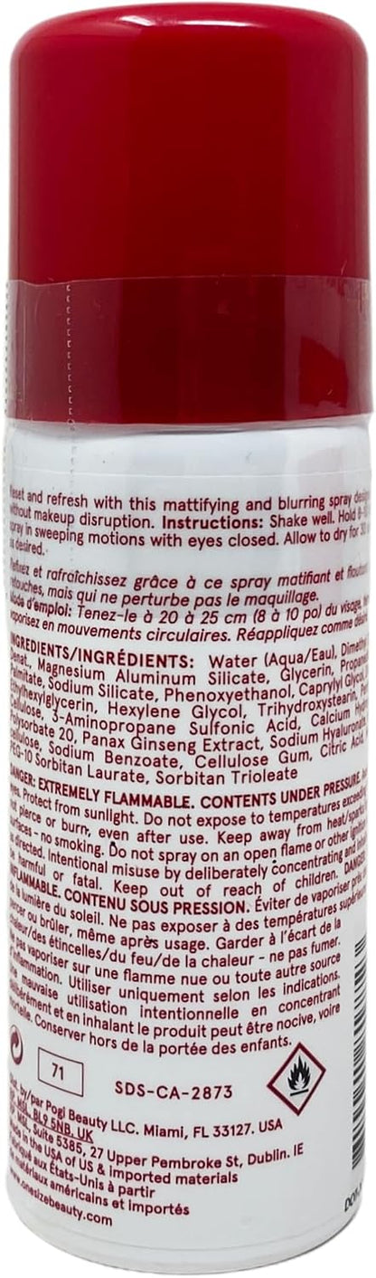 SPRAY RETOCADOR DE PAPEL SECANTE 45 ml
