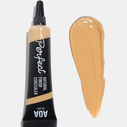 CORRECTOR	PERFECT NATURAL FINISH