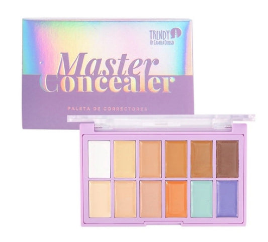 PALETA DE CORRECTORES MASTER CONCEALER
